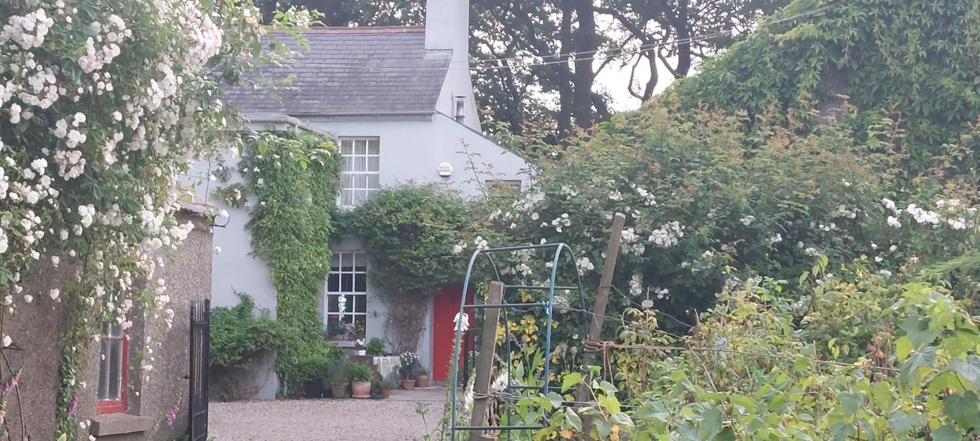 Dromore House Historic Country House Coleraine Exteriör bild